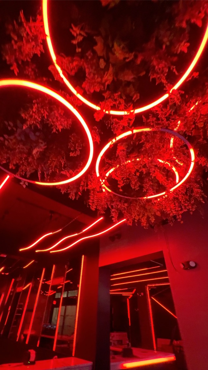 Red circular ceiling lights among foliage above Anthem Orlando’s bar